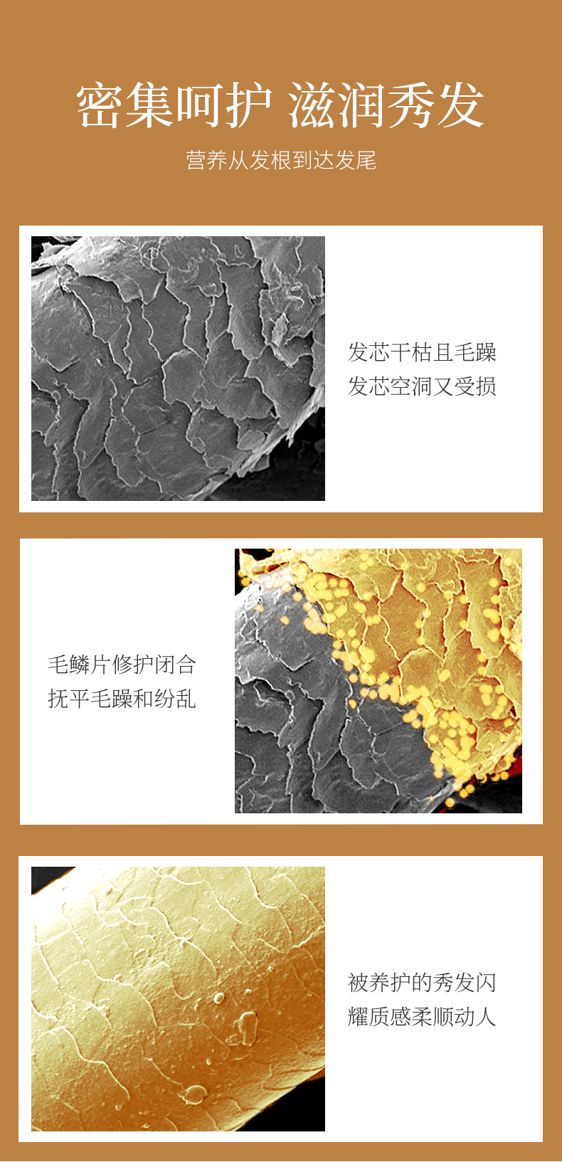 Fanzhen Mature Ginger Smooth Hair Conditioner Moisturizing Refreshing Oil Control Smooth Improve Frizzy Hair Hair Conditioner Hair Care