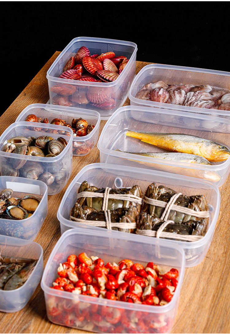 Sanada Japan Imported Refrigerator Fresh Storage Box Food Sealed Box Plastic Fruit and Vegetable Freeze Storage Storage Box