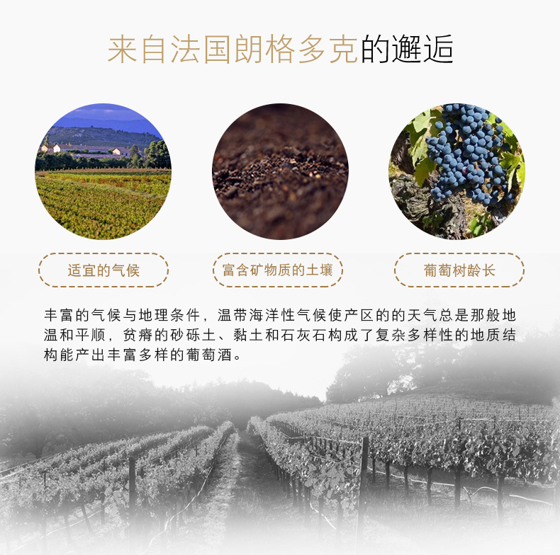 Gift Box Spring Festival Gift French Red Wine Imported Dry Red Wine Heavy Bottle Wholesale Group Purchase WeChat Merchants Merchants Send On Behalf Gift Box Spring Festival Gift French Red Wine Imported Dry Red Wine Heavy Bottle Wholesale Group Purchase WeChat Merchants Merchants Send On Behalf