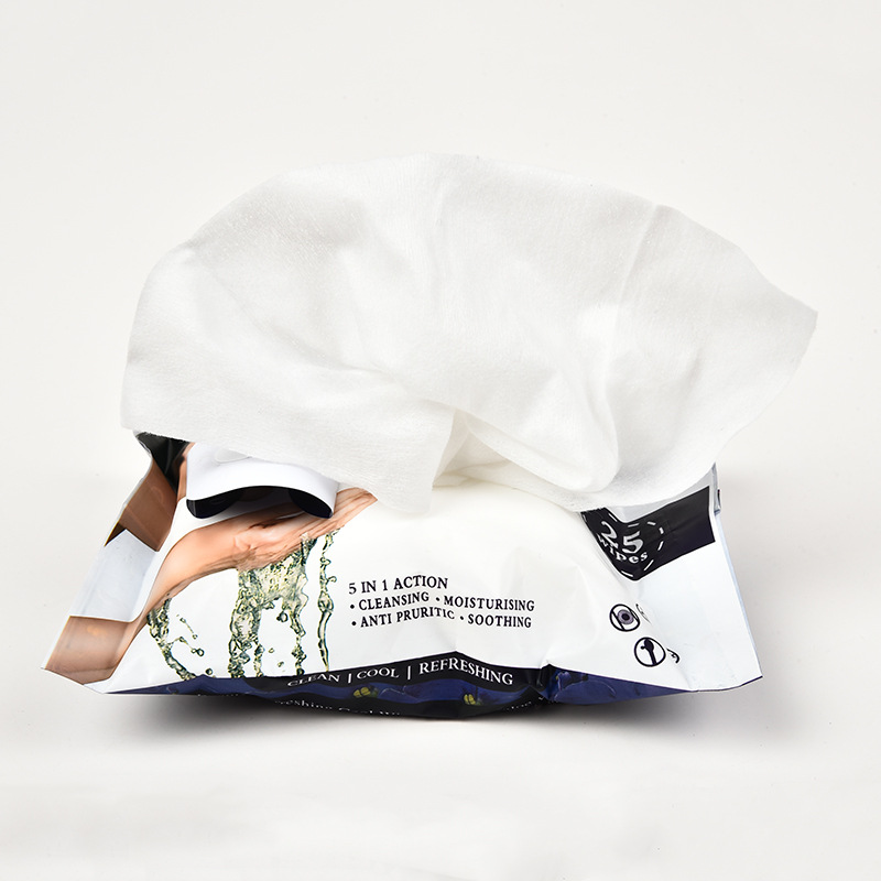English Version Export 25 Pieces Wet Wipes Women's Makeup Remover Wet Tissue Customized Baby Cleansing Wet Tissue Wholesale