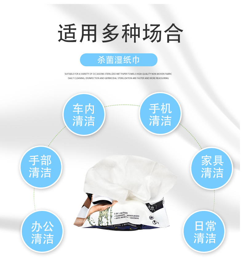 English Version Export 10-Piece Wet Wipes Women's Makeup Remover Wet Tissue Customized Baby Cleansing Wet Tissue Wholesale