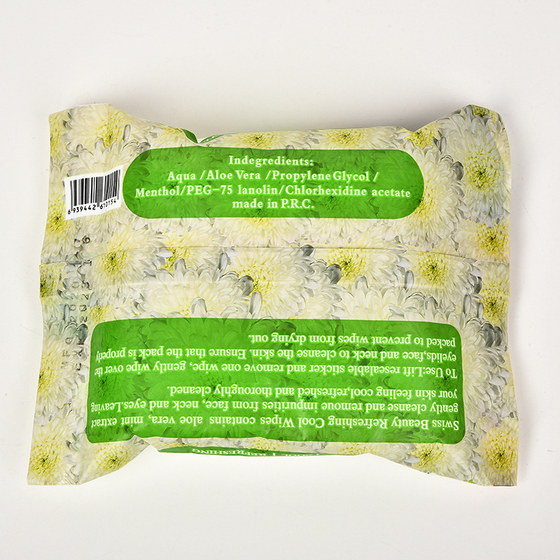 English Version Export 10-Piece Wet Wipes Women's Makeup Remover Wet Tissue Customized Baby Cleansing Wet Tissue Wholesale