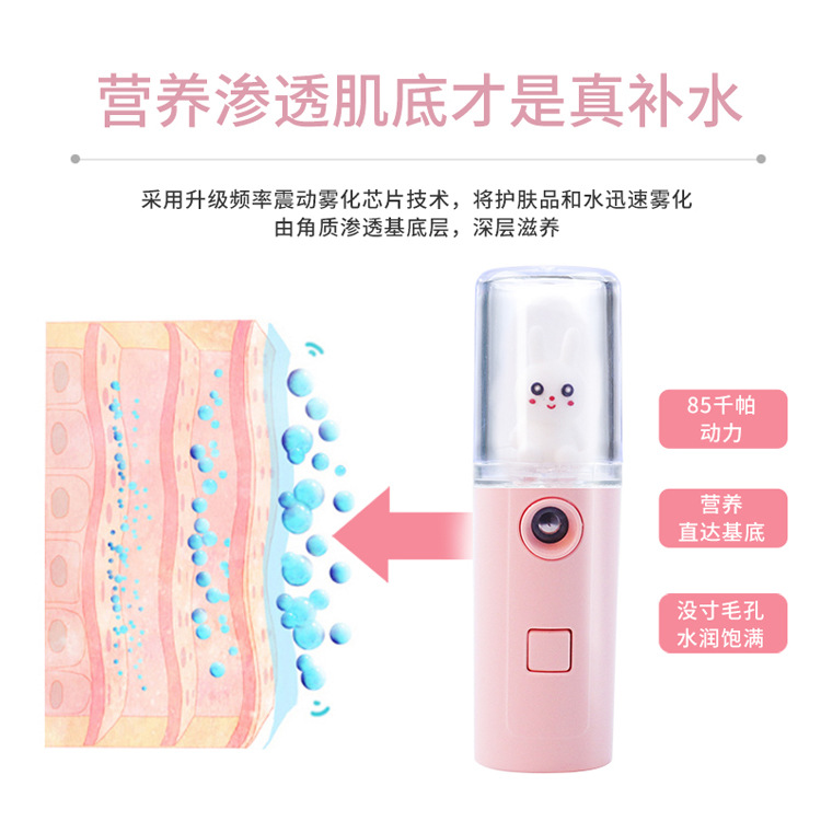 New Cute Pet Water Replenishing Instrument Small Nano Spray Handheld Portable Humidifier Cold Spray Can Spray Alcohol Eye Drops