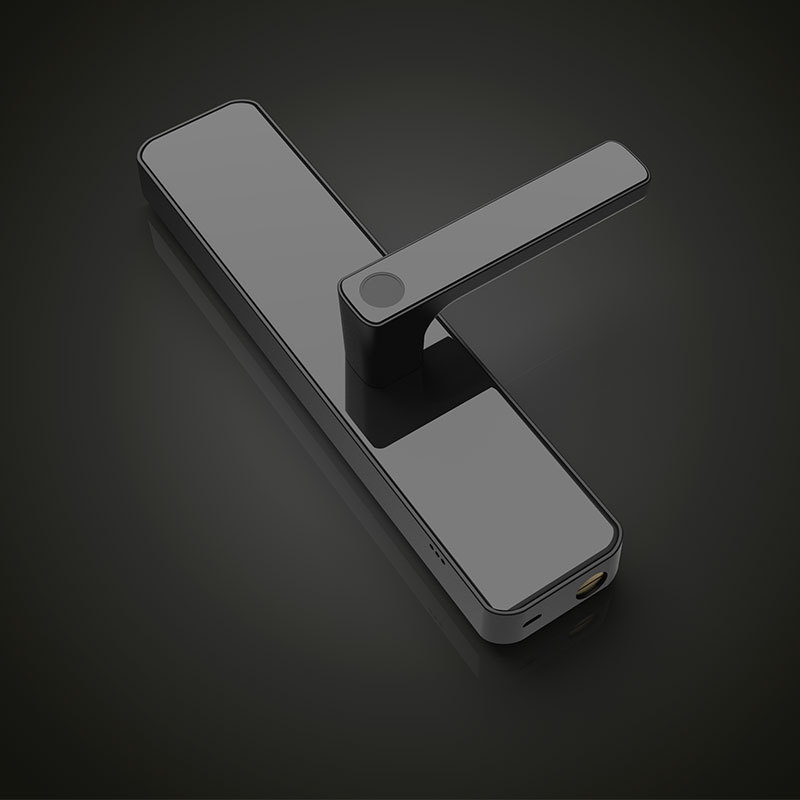 Indoor Smart Lock Fingerprint Lock Household Anti-Theft Door Password Lock Smart Door Lock Electronic Lock Graffiti Pass Lock Manufacturer