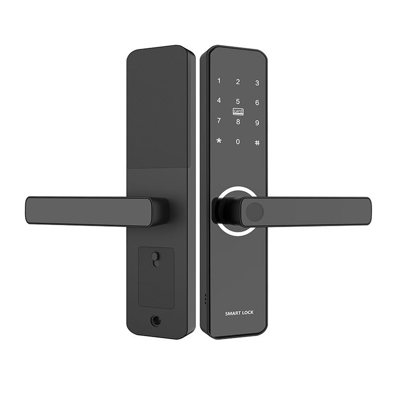 Indoor Smart Lock Fingerprint Lock Household Anti-Theft Door Password Lock Smart Door Lock Electronic Lock Graffiti Pass Lock Manufacturer