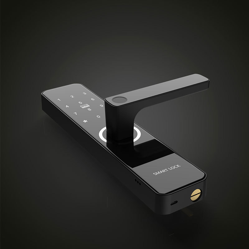 Indoor Smart Lock Fingerprint Lock Household Anti-Theft Door Password Lock Smart Door Lock Electronic Lock Graffiti Pass Lock Manufacturer