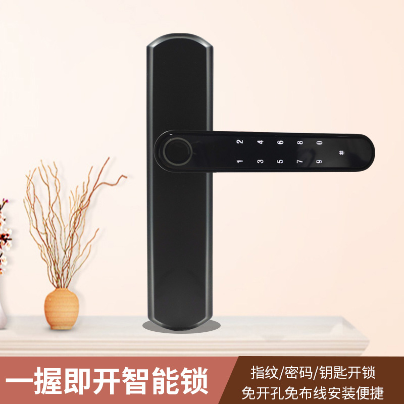 Indoor Smart Lock Fingerprint Lock Household Anti-Theft Door Password Lock Smart Door Lock Electronic Lock Graffiti Pass Lock Manufacturer