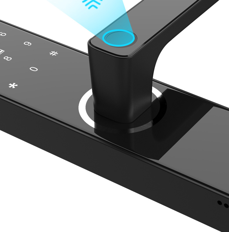 Indoor Smart Lock Fingerprint Lock Household Anti-Theft Door Password Lock Smart Door Lock Electronic Lock Graffiti Pass Lock Manufacturer
