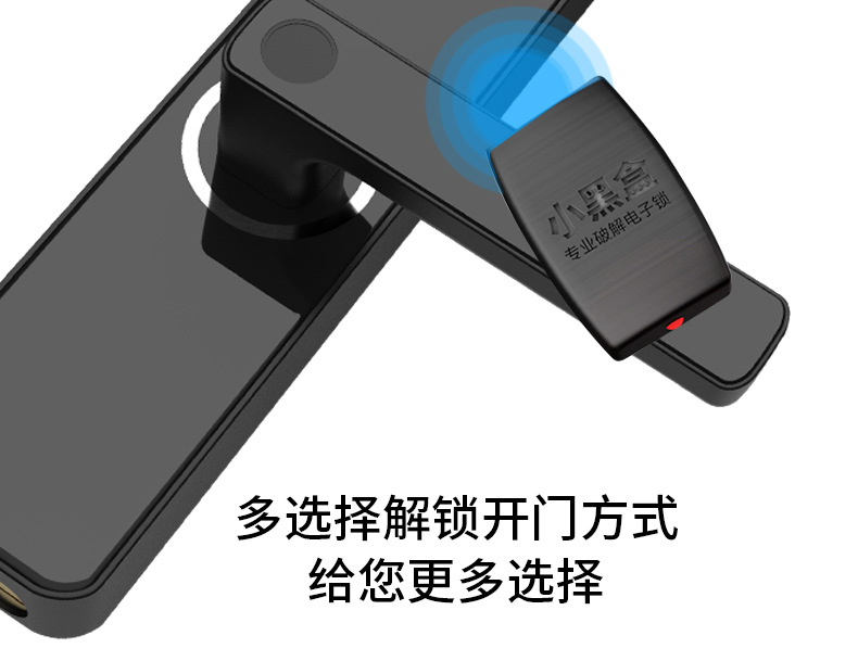 Indoor Smart Lock Fingerprint Lock Household Anti-Theft Door Password Lock Smart Door Lock Electronic Lock Graffiti Pass Lock Manufacturer