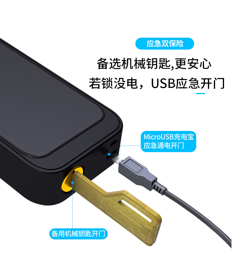 Indoor Smart Lock Fingerprint Lock Household Anti-Theft Door Password Lock Smart Door Lock Electronic Lock Graffiti Pass Lock Manufacturer