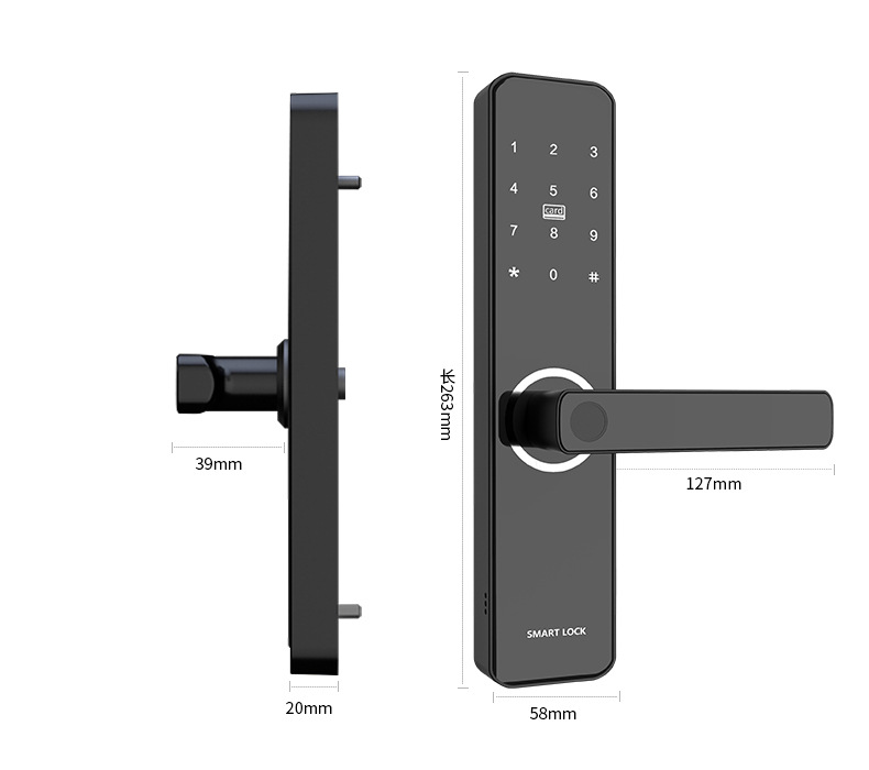Indoor Smart Lock Fingerprint Lock Household Anti-Theft Door Password Lock Smart Door Lock Electronic Lock Graffiti Pass Lock Manufacturer