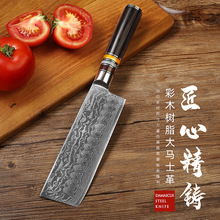 Chef Knife Damascus Vg10 Sharp Cleaver Peeling Blue Resin Honeycomb Home Kitchen Small Kitchen Knife