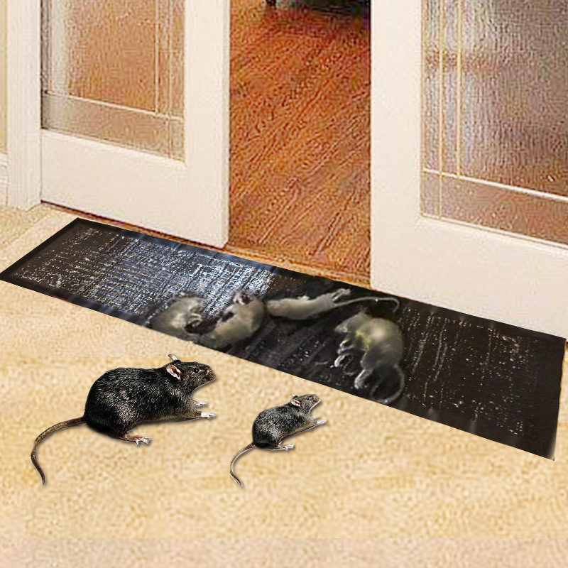 Deratization Magic Carpet Mouse Trap Sticker Mouse Sticker Non-Strong Household Rat Trap Mouse Trapping Factory Wholesale