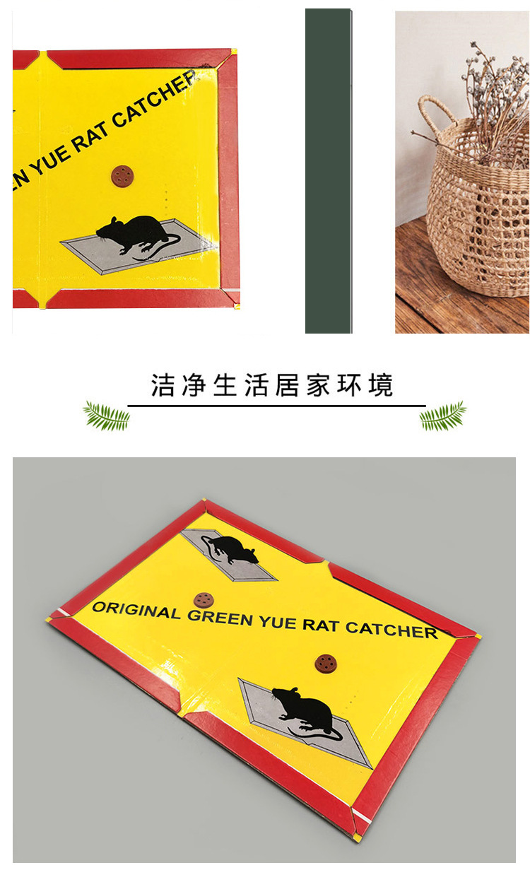 Containing Bait Mouse Sticker Mouse Trap Sticker Mousetrap Glue Glue Mouse Traps Household Thickened Mouse Expeller Mousetrap Wholesale Containing Bait Mouse Sticker Mouse Trap Sticker Mousetrap Glue Glue Mouse Traps Household Thickened Mouse Expeller Mousetrap Wholesale