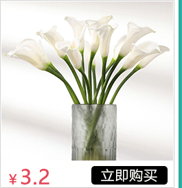 Factory in Stock Wholesale Flower Pot Artificial Plant Leaves Bunches of Green Plants Monstera Begonia Leaf Gold Money Leaf