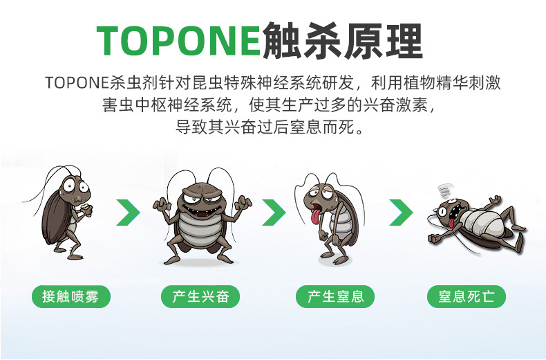 Household Insecticide Spray Indoor Insecticide Aerosol Mosquito Repellent Cockroach Killer Fly Ant Lice Removal Flea Spray