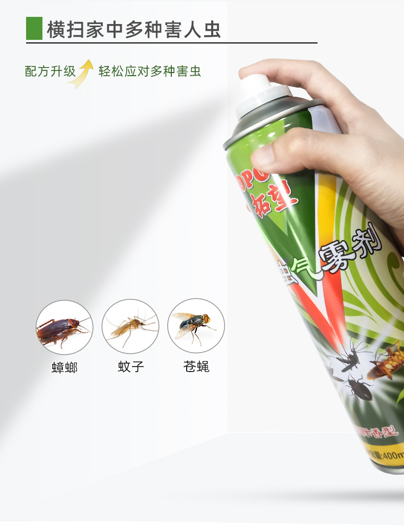 Household Insecticide Spray Indoor Insecticide Aerosol Mosquito Repellent Cockroach Killer Fly Ant Lice Removal Flea Spray