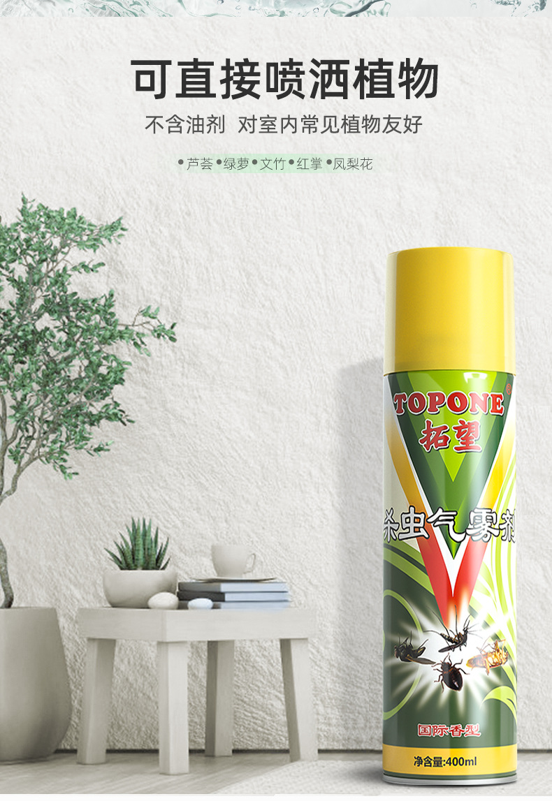 Household Insecticide Spray Indoor Insecticide Aerosol Mosquito Repellent Cockroach Killer Fly Ant Lice Removal Flea Spray