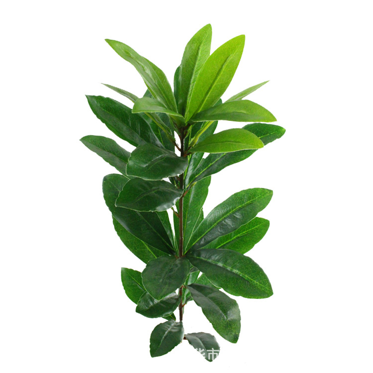 Artificial Plum Leaf Bayberry Leaf Poplar Leaf Green Plant Locust Tree Shrub Bonsai Poplar Flower Tree Ornament Furnishing