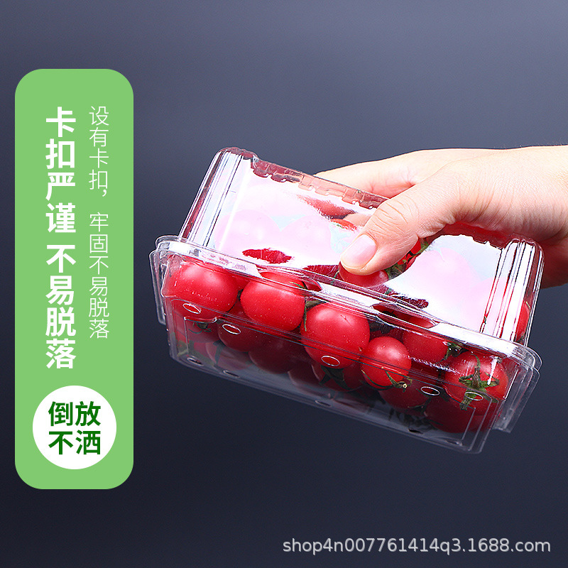 Wholesale Disposable Fruit to-Go Box Fresh-Keeping Box Blister Transparent Fruit Packing Box Fruit Shop Plastic Fruit Container