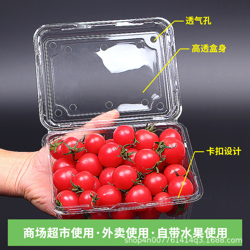 Wholesale Disposable Fruit to-Go Box Fresh-Keeping Box Blister Transparent Fruit Packing Box Fruit Shop Plastic Fruit Container