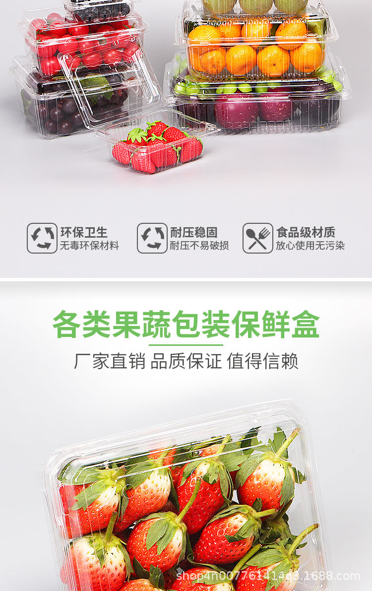 Wholesale Disposable Fruit to-Go Box Fresh-Keeping Box Blister Transparent Fruit Packing Box Fruit Shop Plastic Fruit Container
