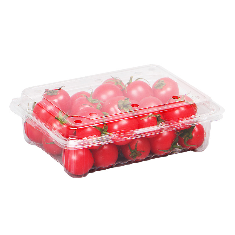 Wholesale Disposable Fruit to-Go Box Fresh-Keeping Box Blister Transparent Fruit Packing Box Fruit Shop Plastic Fruit Container