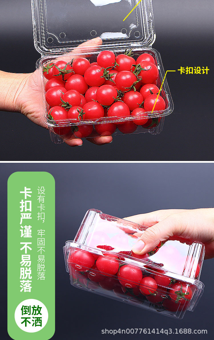 Wholesale Disposable Fruit to-Go Box Fresh-Keeping Box Blister Transparent Fruit Packing Box Fruit Shop Plastic Fruit Container