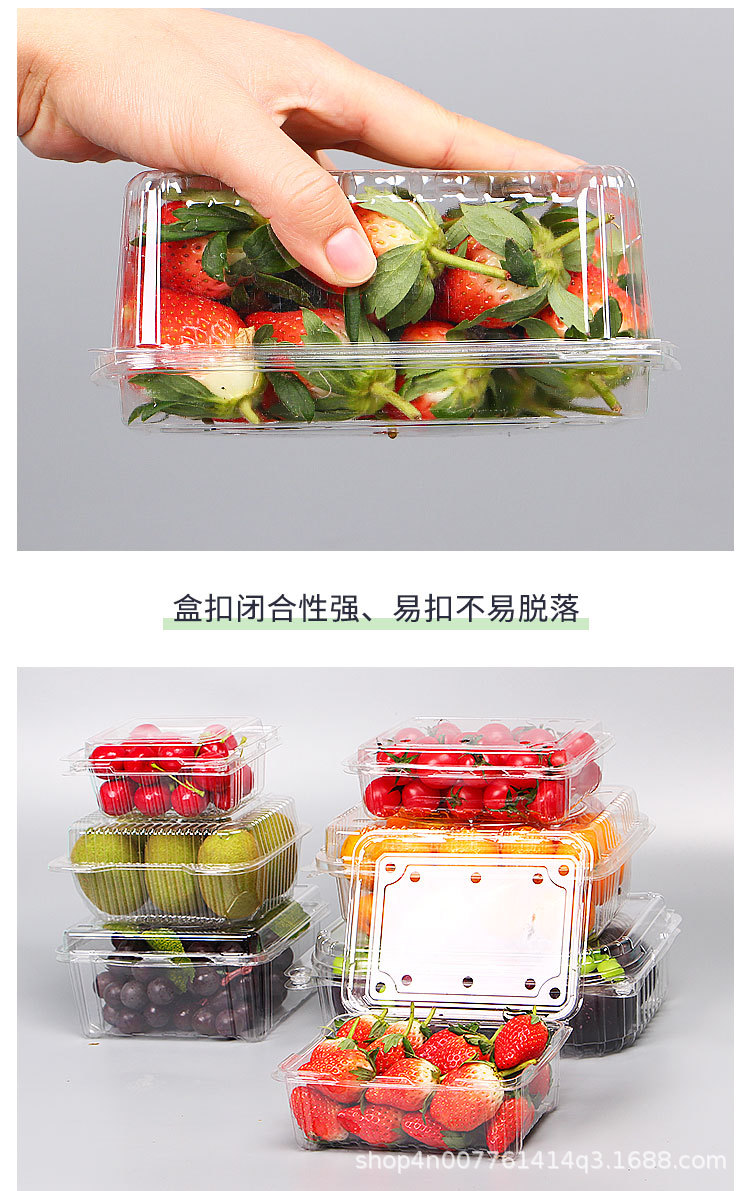 Wholesale Disposable Fruit to-Go Box Fresh-Keeping Box Blister Transparent Fruit Packing Box Fruit Shop Plastic Fruit Container