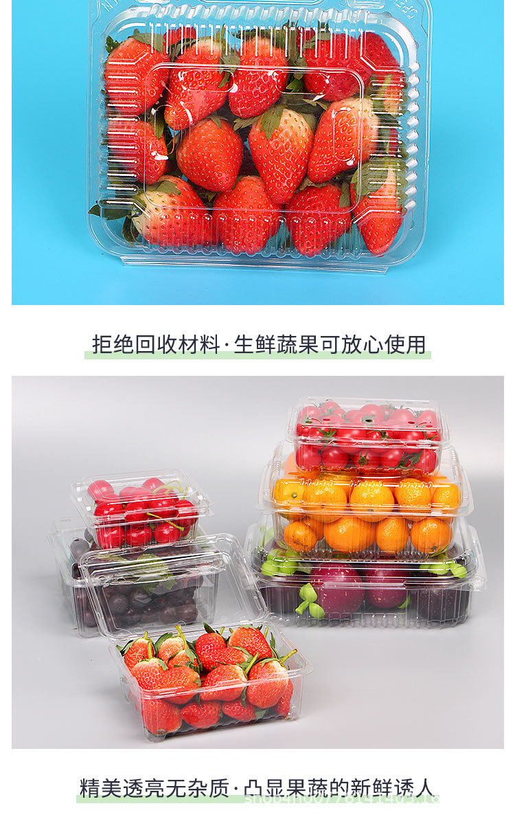 Wholesale Disposable Fruit to-Go Box Fresh-Keeping Box Blister Transparent Fruit Packing Box Fruit Shop Plastic Fruit Container