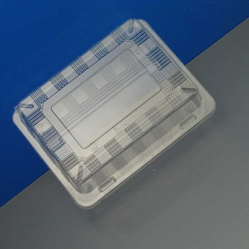 Disposable Meat Slice Box Transparent Fresh-Keeping Frozen Plastic with Lid Lamb Chops Beef Roll Packing Box to-Go Box Free Shipping