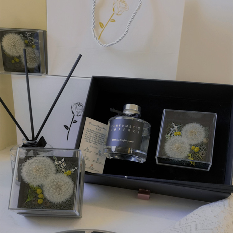 Flower FireFree Aromatherapy African Chrysanthemum Champagne Flower Freesia New Home Indoor Teacher's Day Flower Gift