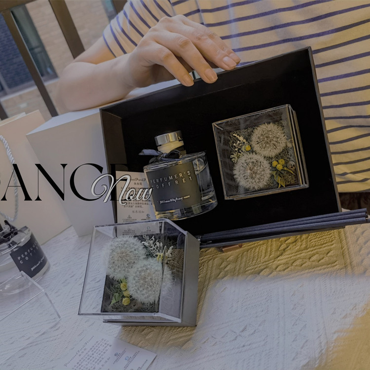 Flower FireFree Aromatherapy African Chrysanthemum Champagne Flower Freesia New Home Indoor Teacher's Day Flower Gift