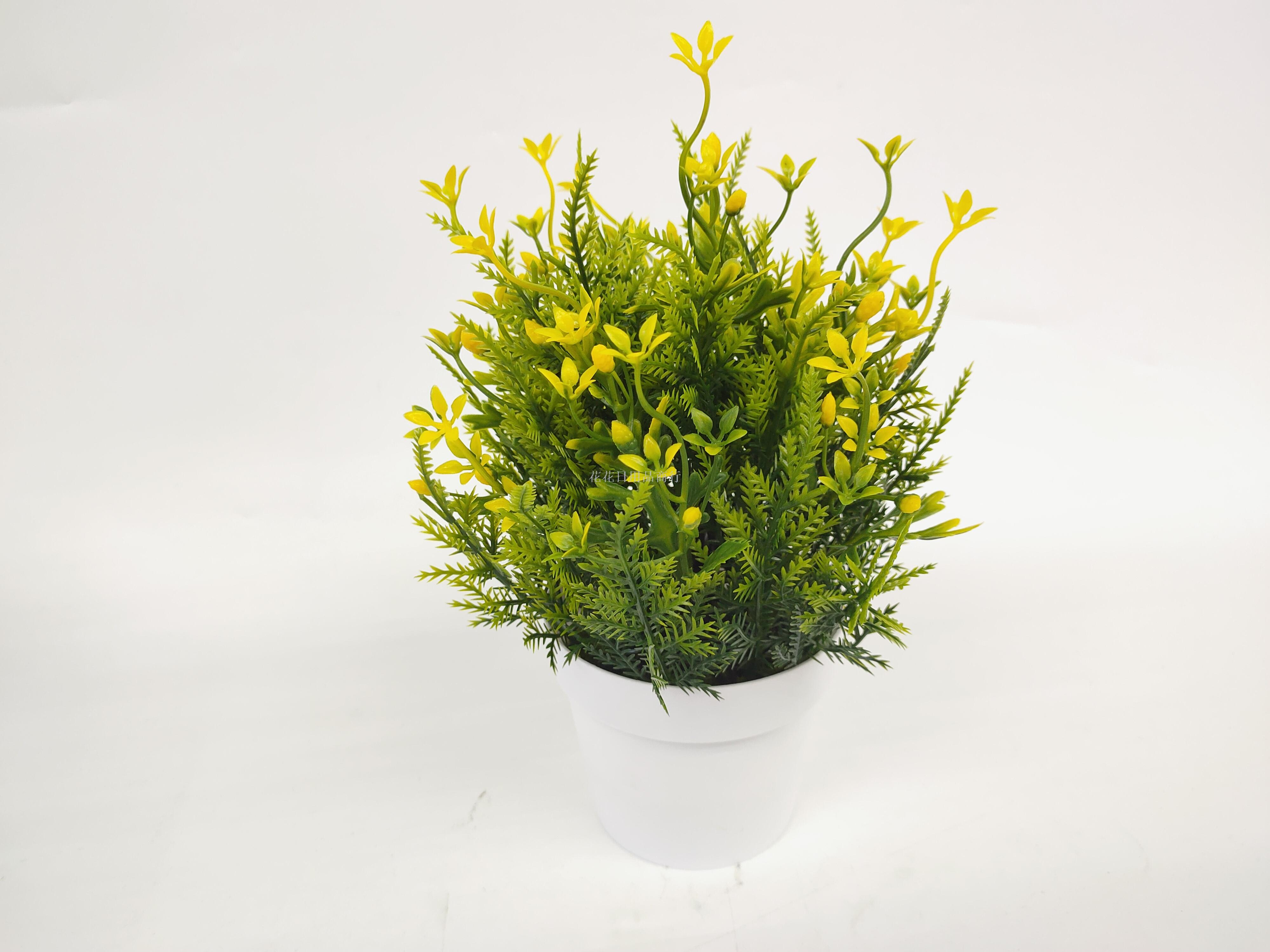Artificial flower white plastic basin floret green potted landscape decoration living room bedroom table and so on Artificial flower white plastic basin floret green potted landscape decoration living room bedroom table and so on