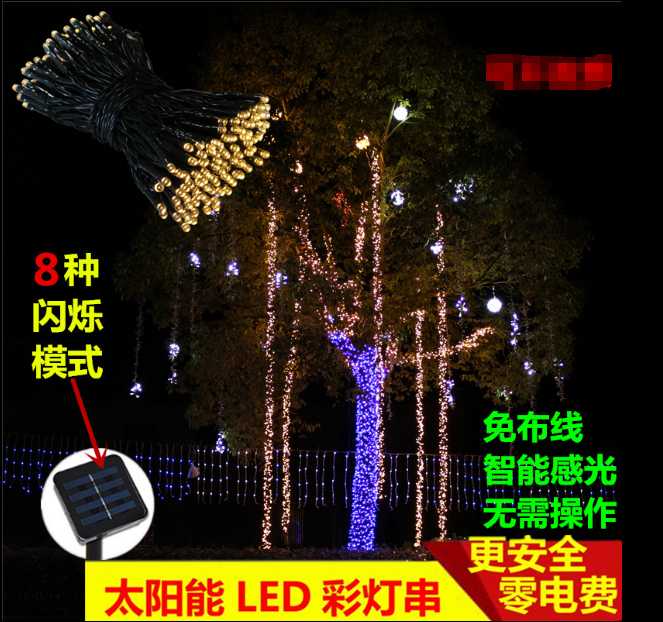 Christmas lights. Christmas lights