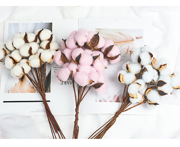 Tang De Christmas Gift Christmas Bouquet Cotton Dried Flower Home Decoration Photo Props Atmosphere Decoration 10 Pieces