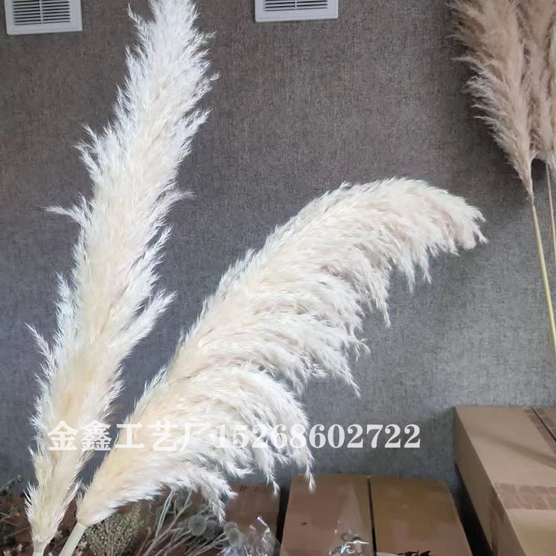 1PC Bulrush Natural Dried Flowers Artificial Plants Branch Pampas Grass Phragmites Fake Flower Wedding Vase Home Decor