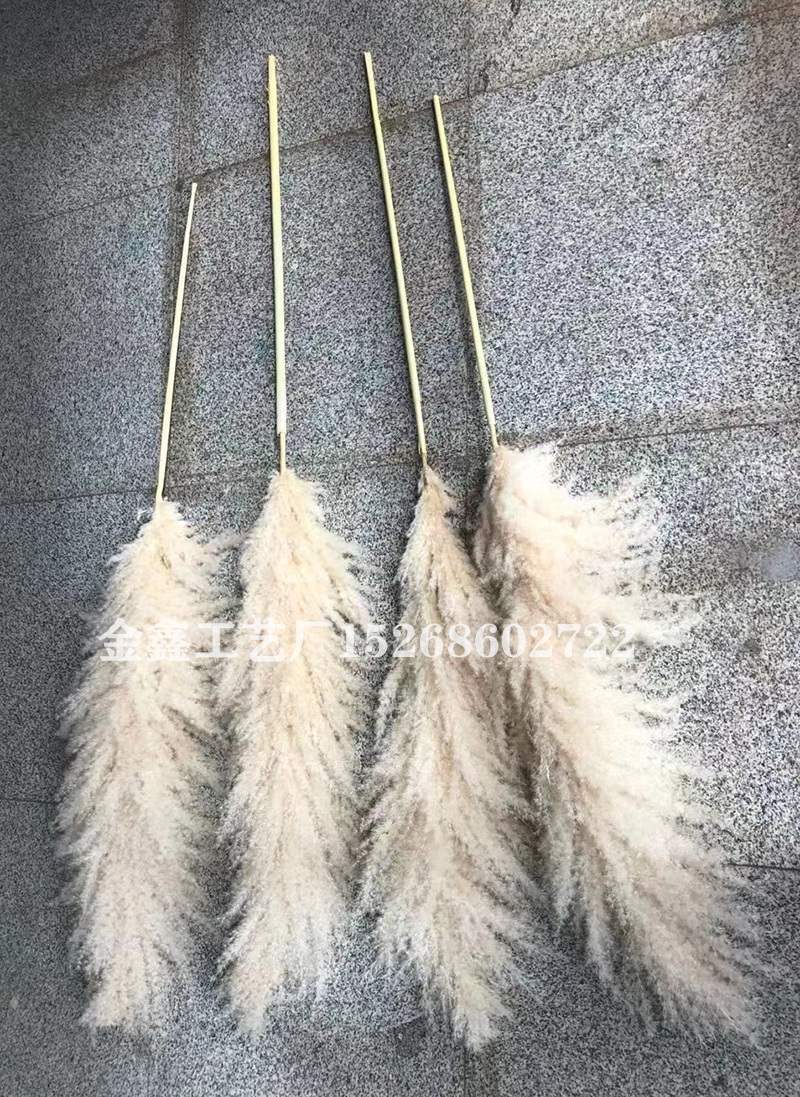 1PC Bulrush Natural Dried Flowers Artificial Plants Branch Pampas Grass Phragmites Fake Flower Wedding Vase Home Decor