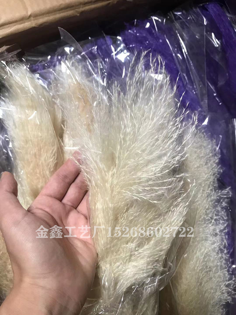 1PC Bulrush Natural Dried Flowers Artificial Plants Branch Pampas Grass Phragmites Fake Flower Wedding Vase Home Decor