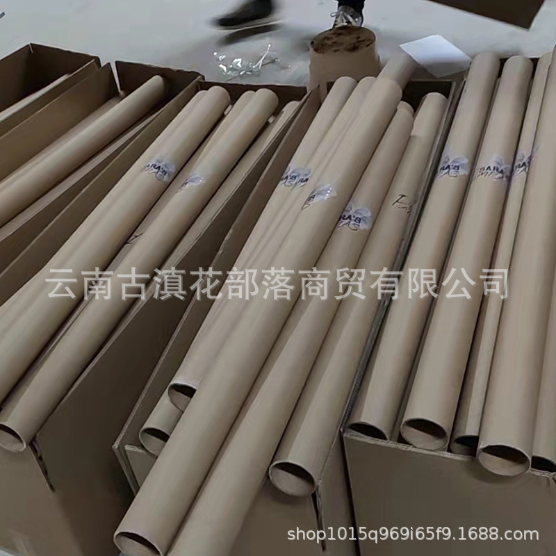 Large Reed Dried Reed Flower Wholesale Pampas Grass Internet Celebrity Dried Flowers Wedding Props Soft Window Layout Cross-Border Dried Flowers