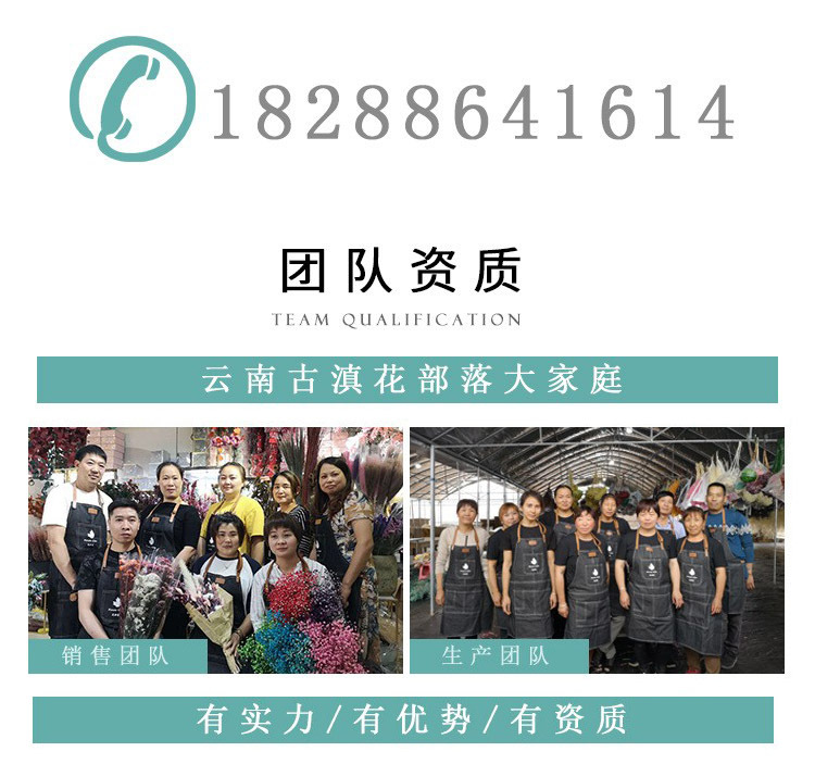 Large Reed Dried Reed Flower Wholesale Pampas Grass Internet Celebrity Dried Flowers Wedding Props Soft Window Layout Cross-Border Dried Flowers