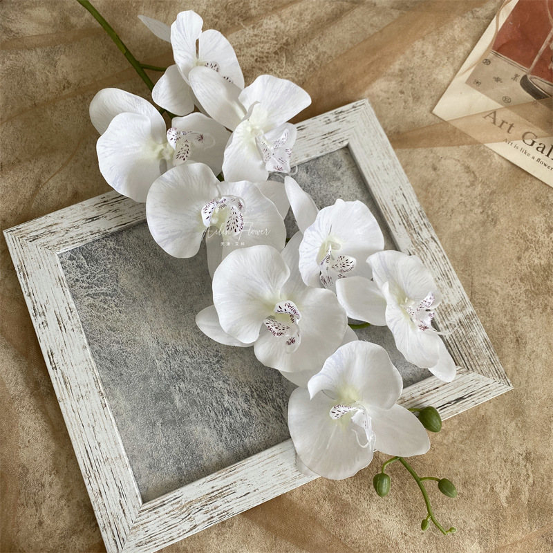 Artificial Phalaenopsis 8 Head Autumn Color Cloth with Snow Spots Wedding Beautiful Wedding Hall Decorative Silk Flower Orchid Cymbidium Faberi Foreign Trade