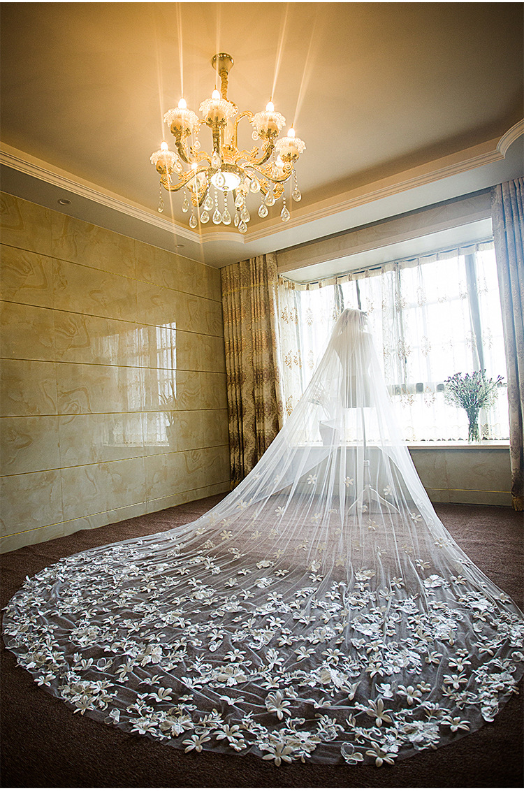 New European-Style Romantic Lace Flower Long Trailing Soft Yarn Veil Extra Long Bride Wedding Dress Veil New European-Style Romantic Lace Flower Long Trailing Soft Yarn Veil Extra Long Bride Wedding Dress Veil