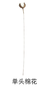 Artificial Flower 10 Natural Cotton Branch Factory Home Decoration Wedding Boquet Holder Plant Wall Artificial Flower Artificial Flower 10 Natural Cotton Branch Factory Home Decoration Wedding Boquet Holder Plant Wall Artificial Flower