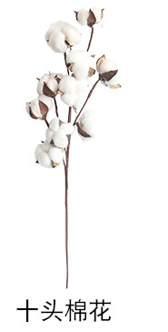 Artificial Flower 10 Natural Cotton Branch Factory Home Decoration Wedding Boquet Holder Plant Wall Artificial Flower Artificial Flower 10 Natural Cotton Branch Factory Home Decoration Wedding Boquet Holder Plant Wall Artificial Flower