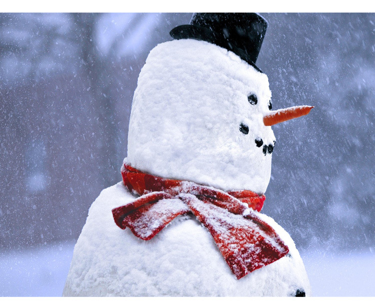 Wooden Simulation Christmas Snowman Dress-up Set Accessories Family Kit Toy Gift
