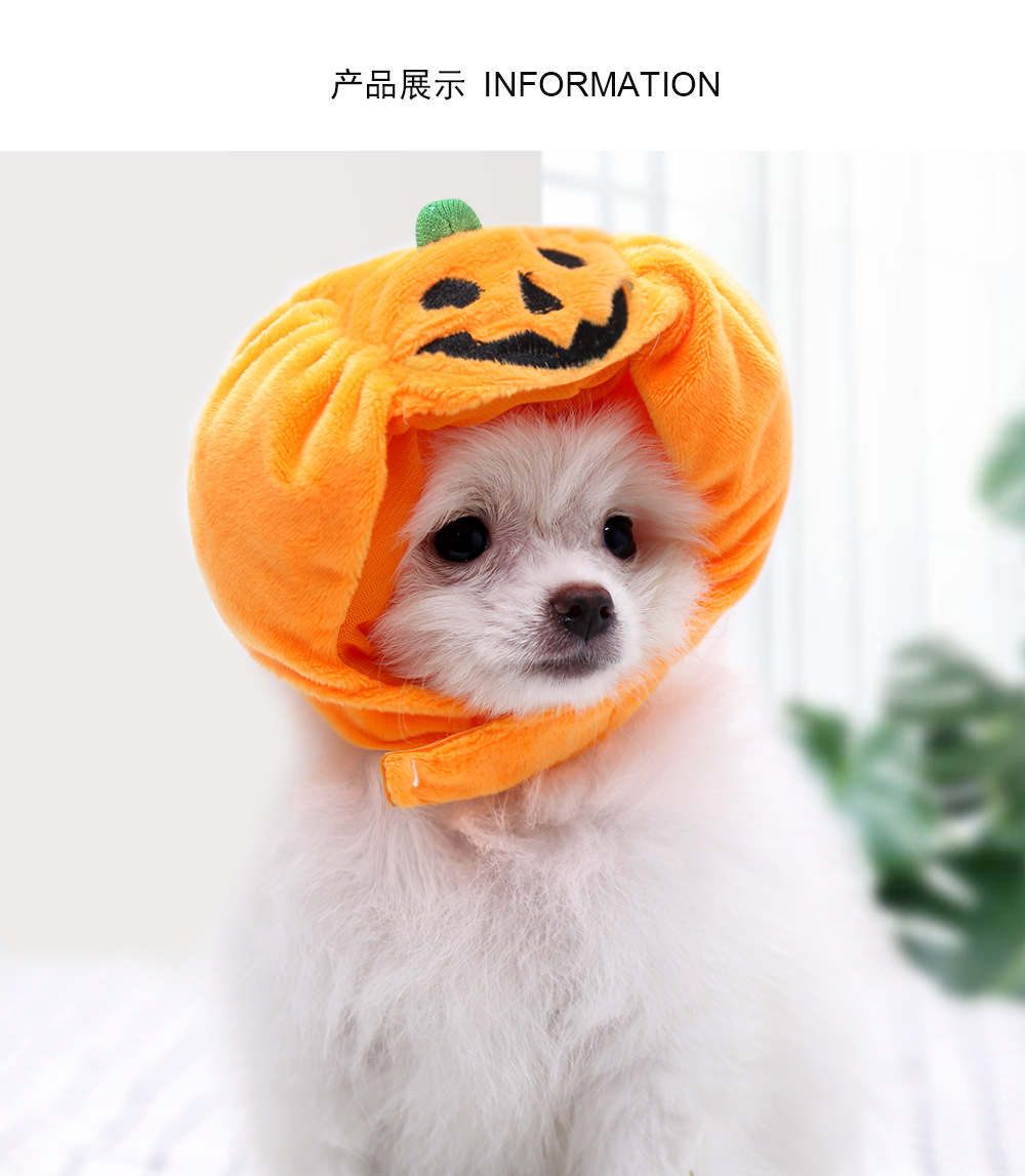 Pet Cat Dog Pumpkin Hat Halloween Ghost Festival Decorative Headdress Supplies Small Medium Large Dog Teddy/French Bulldog Pet Cat Dog Pumpkin Hat Halloween Ghost Festival Decorative Headdress Supplies Small Medium Large Dog Teddy/French Bulldog