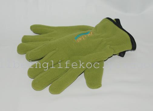 FGV-11 Europe and the supermarket chain direct solid-color embroidered men and women's double-layer fleece gloves