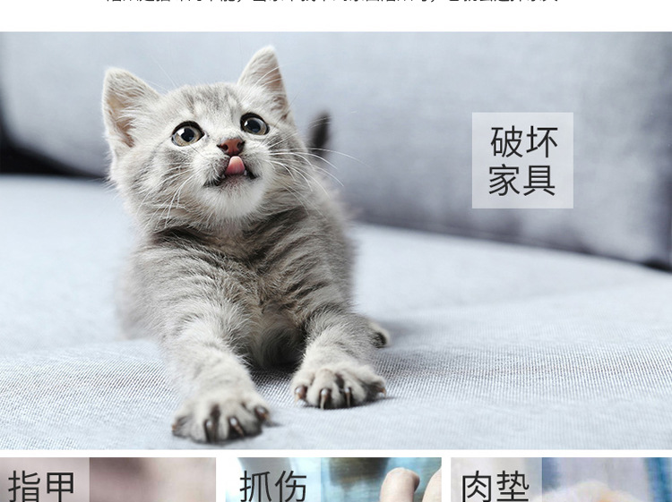 Leyoupai Boxed Double-Sided Three-Piece Flat Plate Cat Toy Cat Grinding Claw Cat-Related Products Corrugated Paper Cat Scratch Board