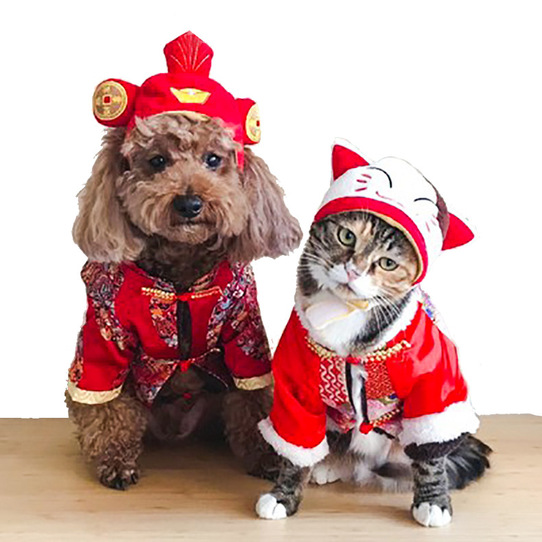 10 Pet Headwear Cute Dog Teddy Dress up Sunflower Lucky Headdress Wig Cat Headwear Hat